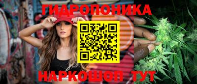 гидропоника Чапаевск