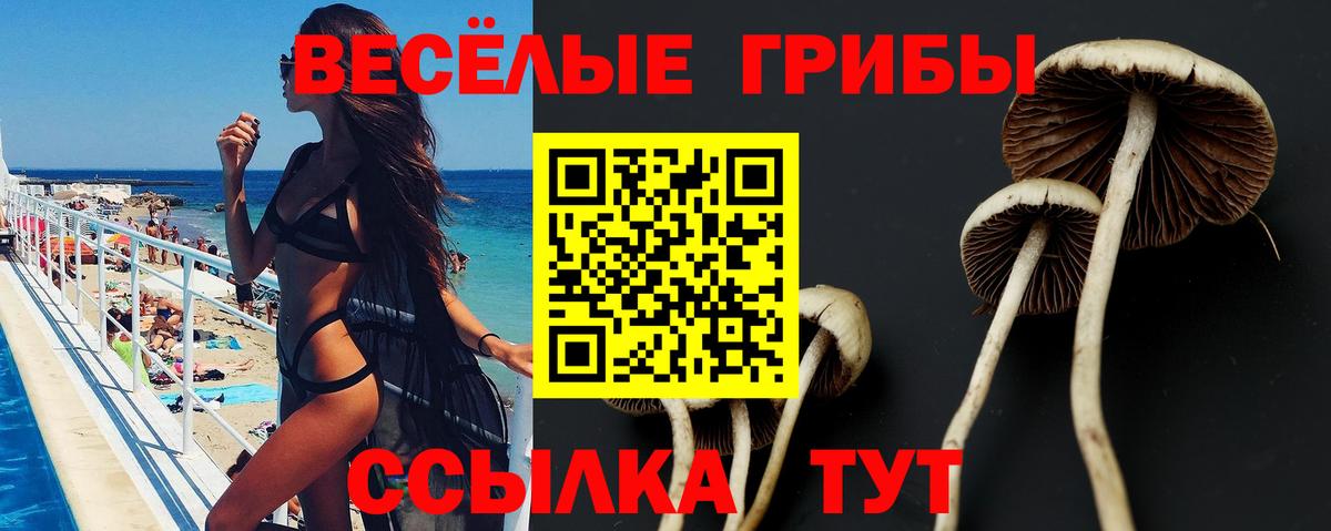 Псилоцибиновые грибы MAGIC MUSHROOMS  Вход с VPN  Благодарный 